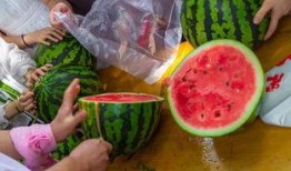 大学宿舍的吃瓜,揭秘大学宿舍里的美食传奇