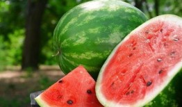 吃瓜放什么音乐,这些音乐让你清凉一夏