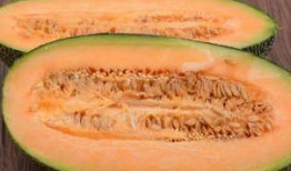 吃哈密瓜溃疡,哈密瓜溃疡成因与防治策略解析