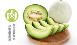 吃网纹瓜的博主,跟随博主品味独特口感之旅