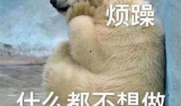 吃瓜群众清醒的图片,揭秘“吃瓜群众清醒”背后的真相