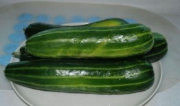 村口翠花吃脆瓜