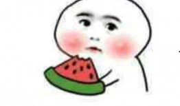 龙城吃瓜完整后续,揭秘真相，揭开神秘面纱