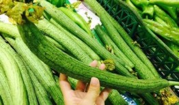 吃瓜中的毒瓜有哪些,这些瓜你敢吃吗？