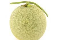 马可波罗吃瓜,探寻异国风情的趣味瞬间