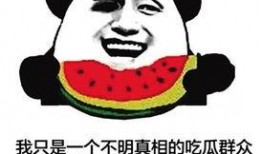 吃瓜群众在线上网,揭秘网络舆论场中的围观力量