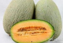 吃哈密瓜溃疡,哈密瓜溃疡成因与防治策略解析