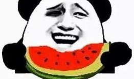 大娘卖瓜胖子吃瓜不给钱,一场引人深思的道德争议