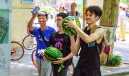 陕西大学免费吃瓜,免费吃瓜活动甜蜜来袭！