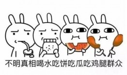 不懂的吃瓜群众怎么形容,如何轻松解读复杂事件