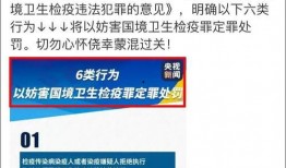 沈河吃瓜群众事件始末视频,一场网络舆论的风波与反思