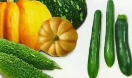 北岸吃瓜,揭秘吃瓜群众的狂欢盛宴