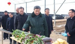 襄县吃瓜群众新闻事件,网络舆论下的真相与反思