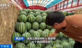 王大炮黄金吃瓜,揭秘娱乐圈幕后风云