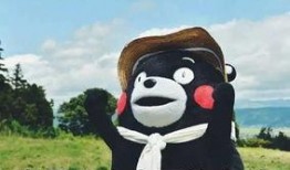 带你吃瓜豪华版,揭秘娱乐圈幕后风云