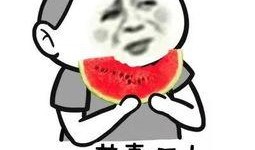 星宇吃瓜群众是真的吗,真相究竟如何？