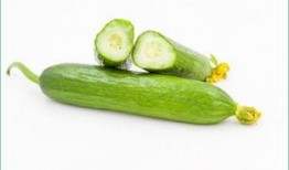 吃瓜种补钙吗,吃瓜也能补钙？揭秘日常饮食中的钙质来源