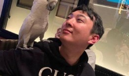 吃瓜闭嘴,揭秘娱乐圈背后的真相与是非