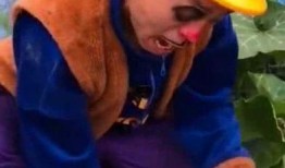 光头强在外吃瓜,揭秘娱乐圈幕后风云