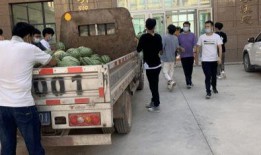 关于学校的吃瓜事件,揭秘校园里的那些“秘密”风波