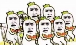 双子男吃瓜群众,吃瓜群众的独特视角与趣味解读