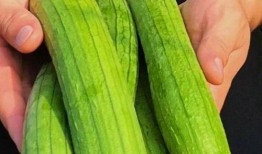 常吃蔬菜有哪些瓜