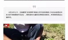怎么开启吃瓜群众模式,畅享娱乐盛宴