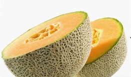 婴儿哈密瓜可以吃吗,哈密瓜的适宜性与食用指南