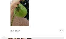 吃瓜学费,校园里的另类经济现象