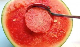 梦见用勺子吃瓜,勺子瓜香，探寻梦境中的味蕾之旅