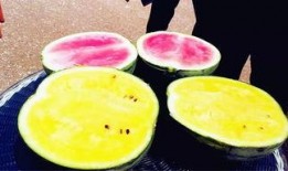 广西柳州吃瓜爆料,揭秘柳州街头美食风云录