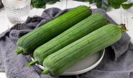 秋季必吃瓜,必吃瓜果盘点