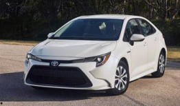 丰田卡罗拉吃瓜