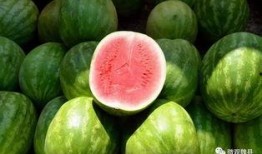 中国三大吃瓜群众是谁,网络舆论场上的“隐形推手”