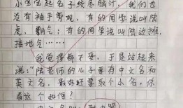 作文吃瓜老师,揭秘校园里的趣味故事