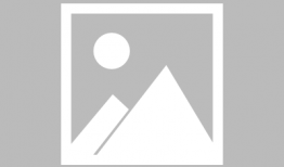 小孩子喜欢吃哈密瓜吗