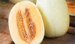 没种的瓜和豆瓜怎么吃才好吃,探索未种瓜豆的独特食用方法