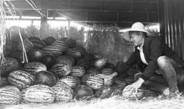 吃瓜群众岱岱进监狱了吗,吃瓜群众岱岱监狱生活揭秘