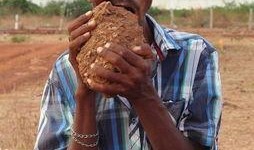 印度人吃瓜雕刻视频,瓜果雕刻艺术大赏