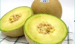 幼犬吃哈密瓜好吗,幼犬食用哈密瓜的安全性探讨