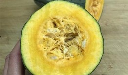 没种的瓜和豆瓜怎么吃才好吃,探索未种瓜豆的独特食用方法