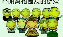 霸凌吃瓜群众怎么办啊,如何保护自己，化解吃瓜群众的误解与偏见