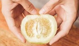 朋友吃瓜甩籽,朋友吃瓜甩籽，共享欢乐时光