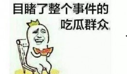 出车祸的吃瓜群众视频是真的吗,吃瓜群众视角下的真相