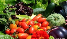 牧院英才吃瓜,揭秘校园里的那些“瓜”