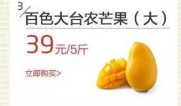 缤纷夏日幸福吃瓜,幸福瓜香——畅享夏日美味时光