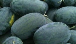 瓜王怎么吃最好,解锁最佳食用之道