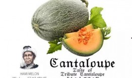 吃瓜群众一号,揭秘娱乐圈幕后风云