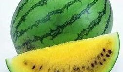 别吃假瓜,食品安全警示录