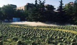 猪圈里的吃瓜群众图片真实